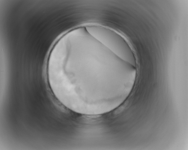 X0000115100864200911241232