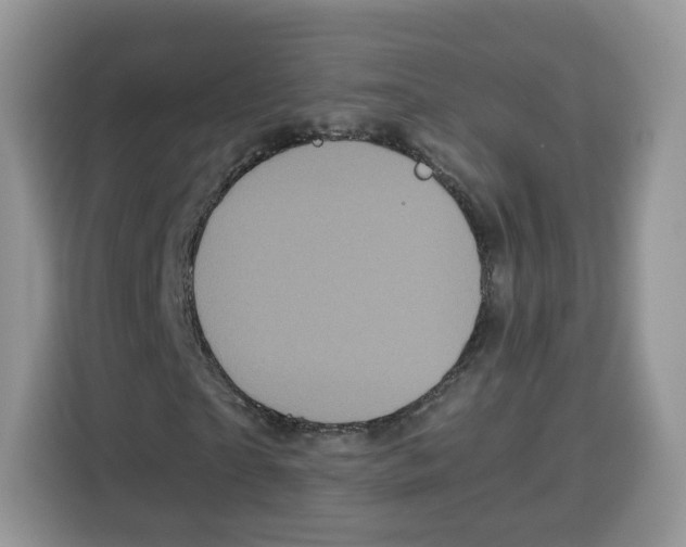 X0000115100865200911241231