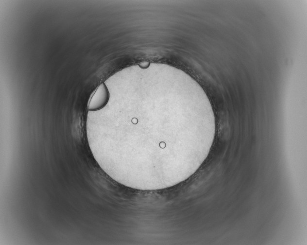 X0000115100866200911241231