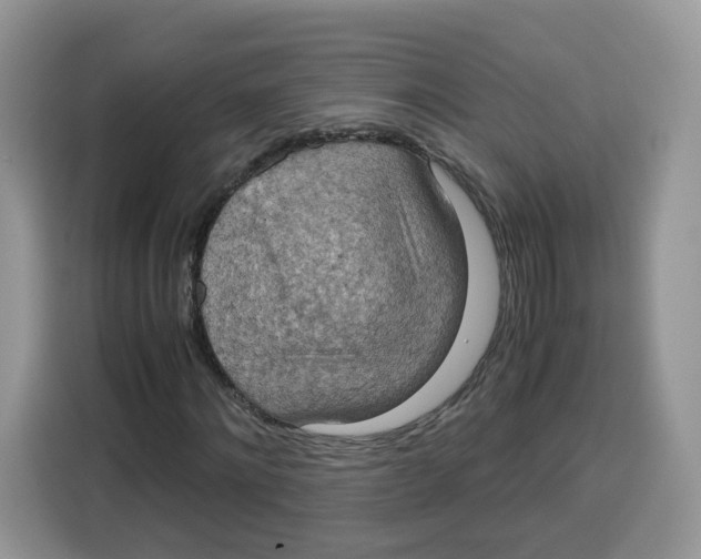 X0000115100868200911241231