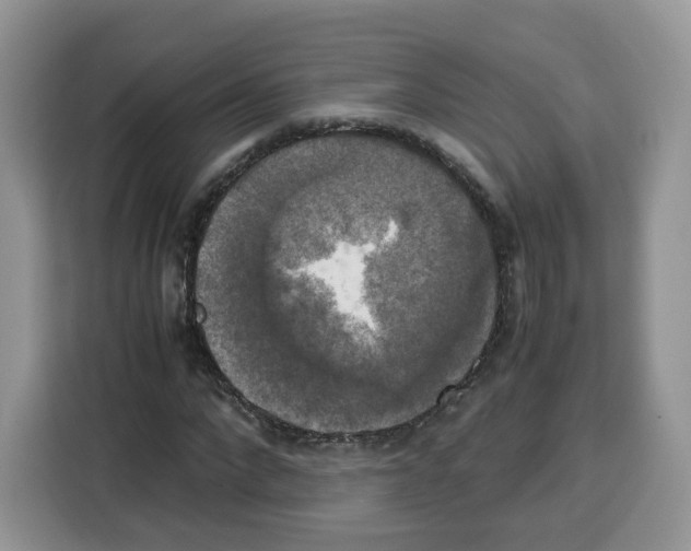 X0000115100872200911241231