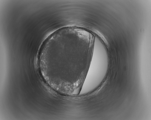 X0000115100876200911241231