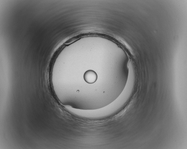 X0000115100877200911241231