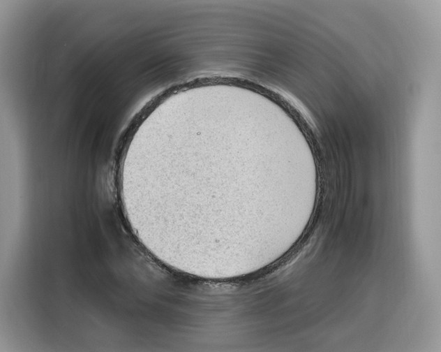 X0000115100878200911241231