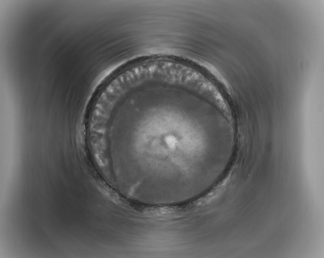 X0000115100879200911241231