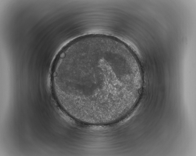 X0000115100880200911241231