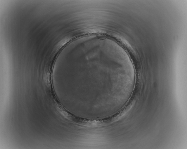 X0000115100881200911241231