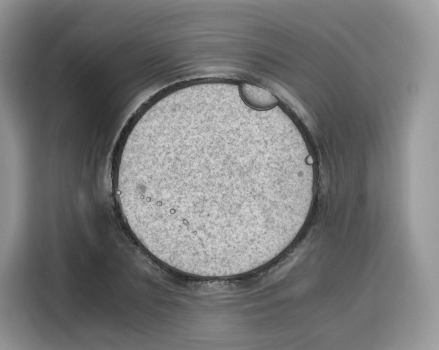 X0000115100883200911241231