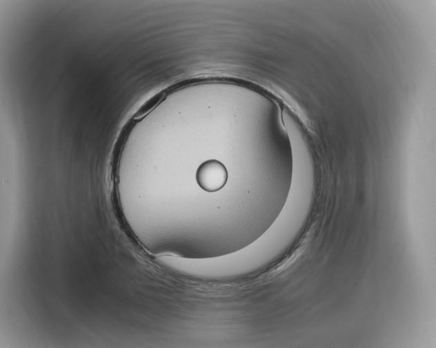 X0000115100885200911241231