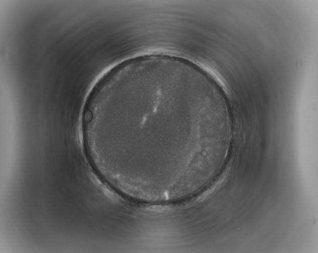 X0000115100888200911241231