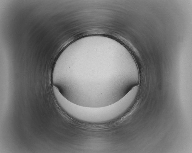 X0000115100889200911241231