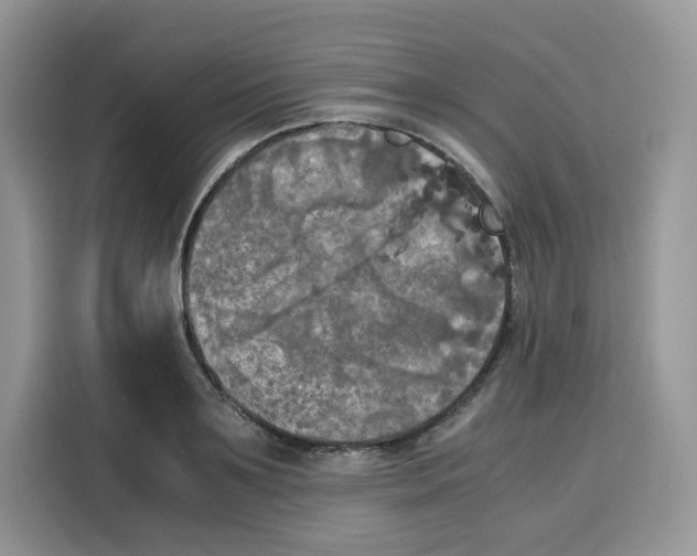 X0000115100891200911241231