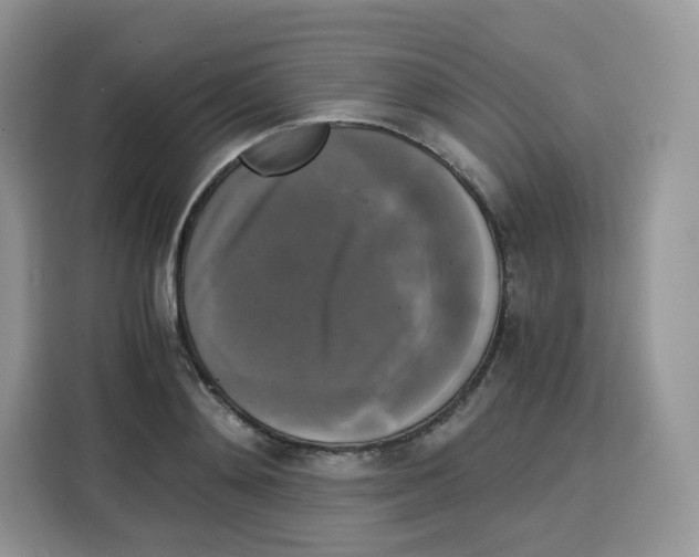 X0000115100892200911241231