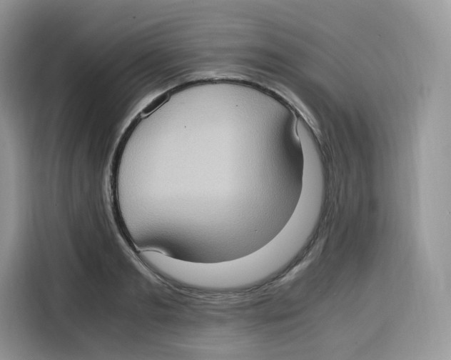 X0000115100893200911241231