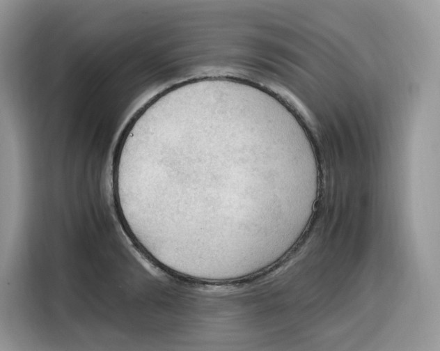 X0000115100894200911241231