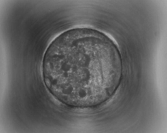 X0000115100895200911241231