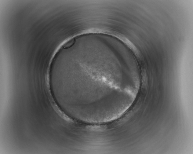 X0000115100896200911241231