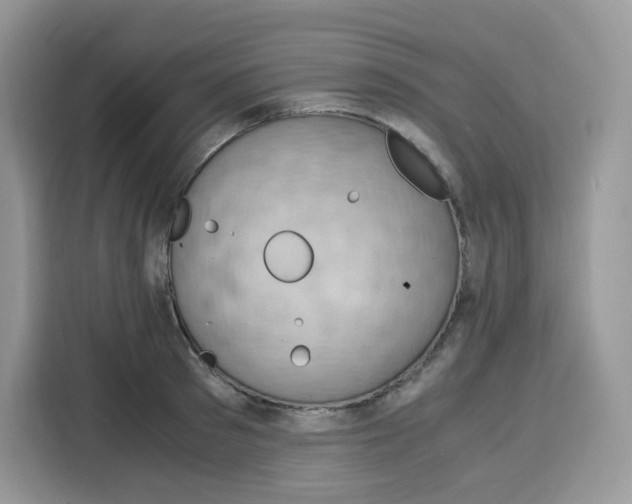 X0000115100897200911241231