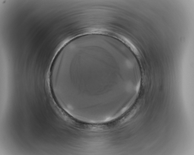 X0000115100899200911241231