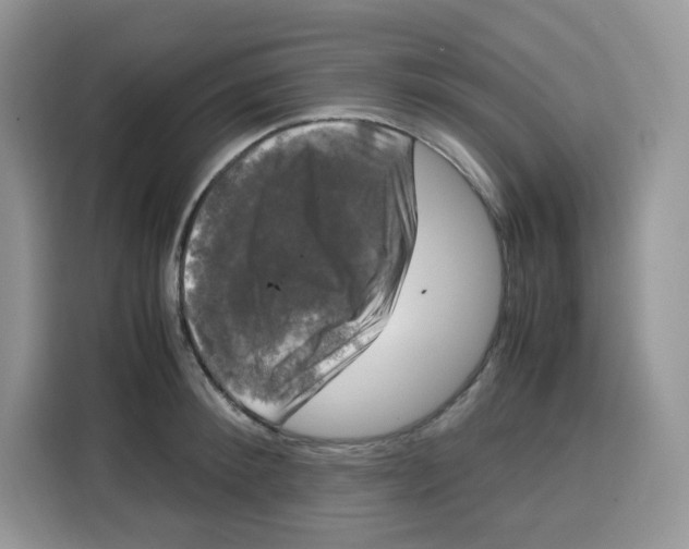 X0000115100900200911241231