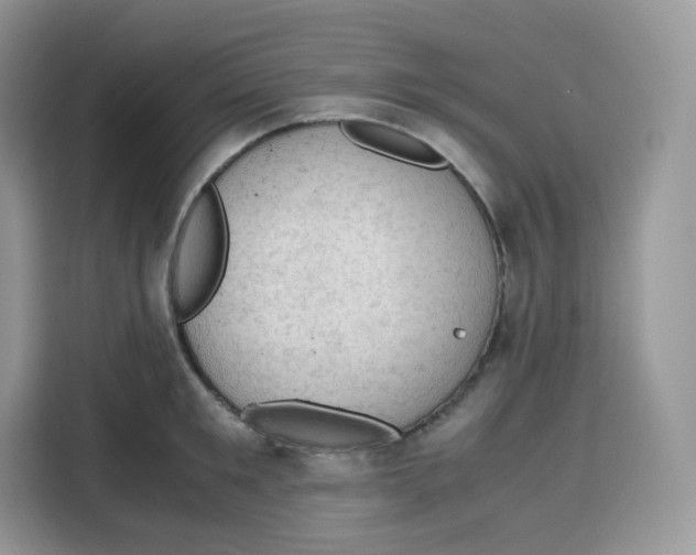 X0000115100901200911241231