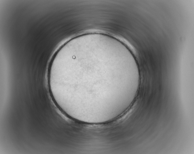 X0000115100902200911241231