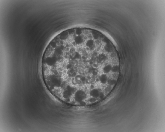 X0000115100903200911241231