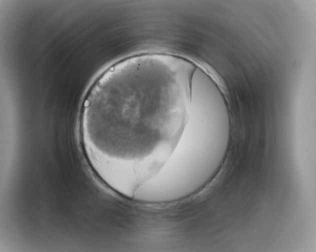 X0000115100904200911241231