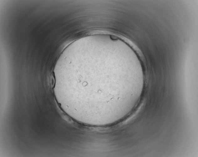 X0000115100905200911241231