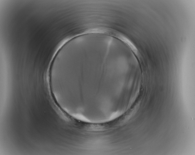 X0000115100907200911241231