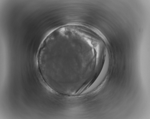 X0000115100908200911241231