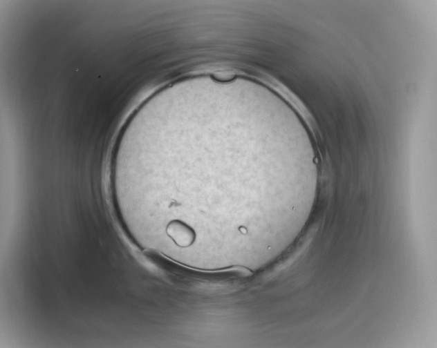 X0000115100909200911241231