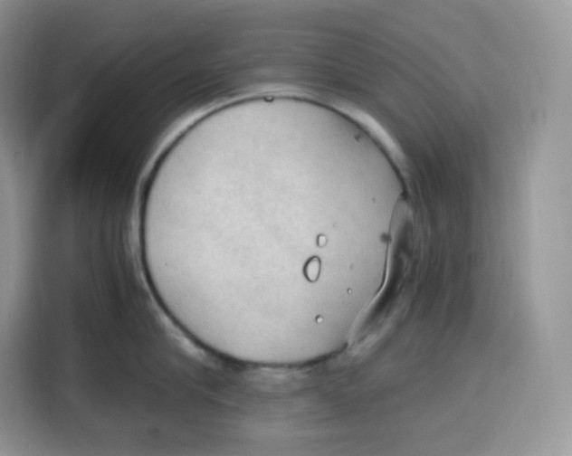 X0000115100910200911241231