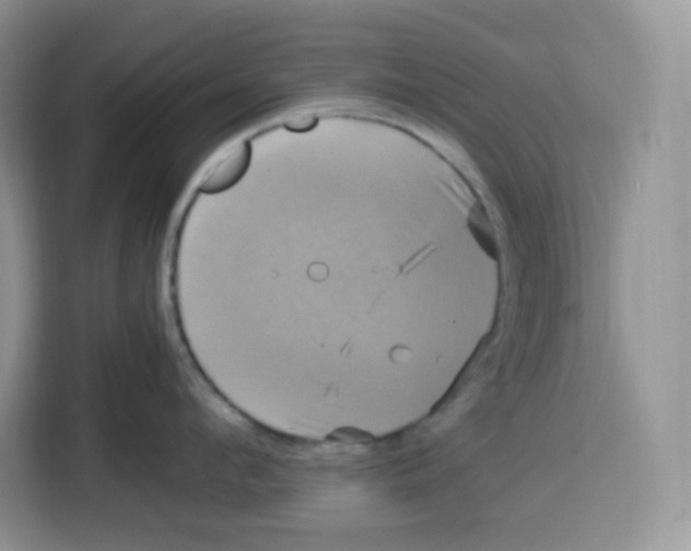 X0000115100912200911241231