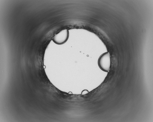 X0000115100918200911241230