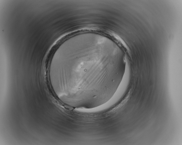 X0000115100923200911241230