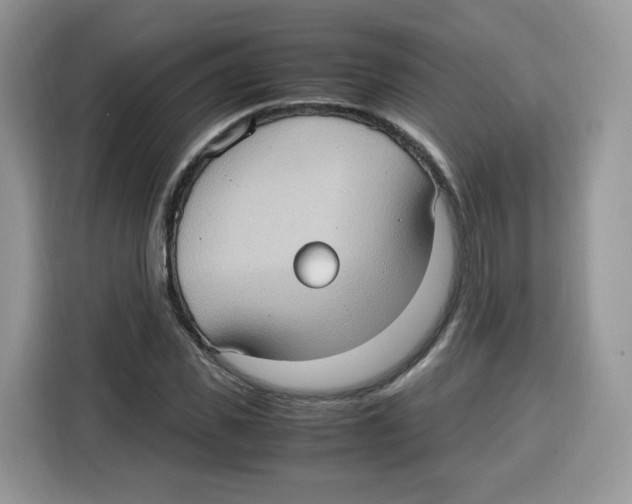 X0000115100925200911241230