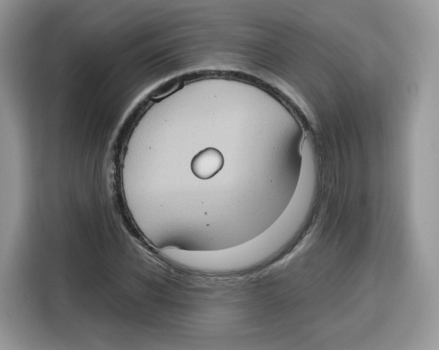 X0000115100926200911241230