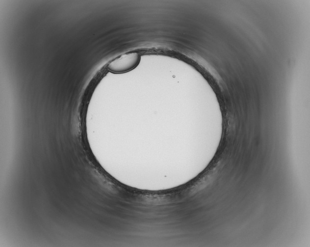 X0000115100927200911241230