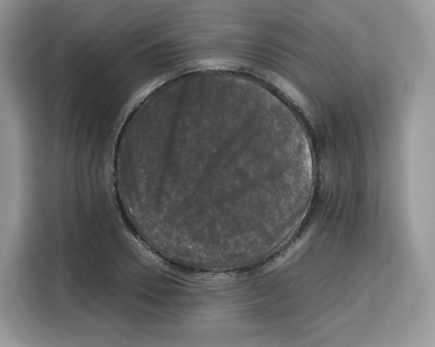 X0000115100930200911241230