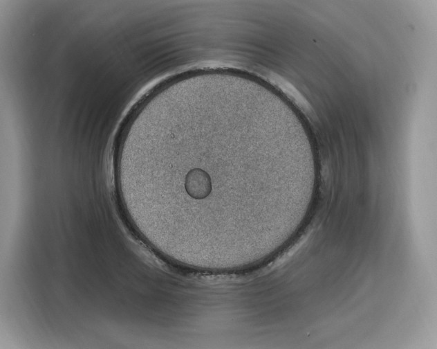 X0000115100934200911241231