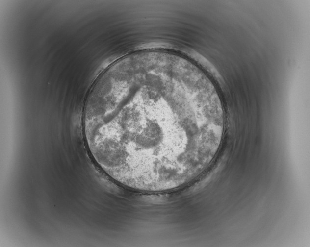 X0000115100937200911241231