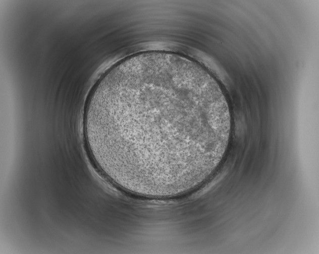 X0000115100938200911241231