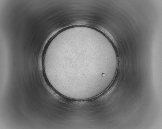 X0000115100939200911241231