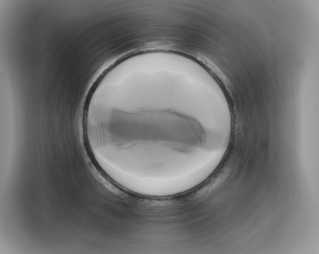 X0000115100941200911241231