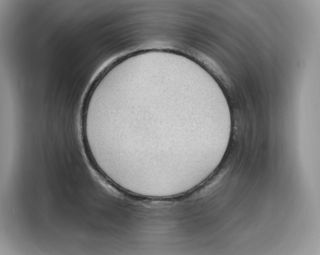 X0000115100942200911241231