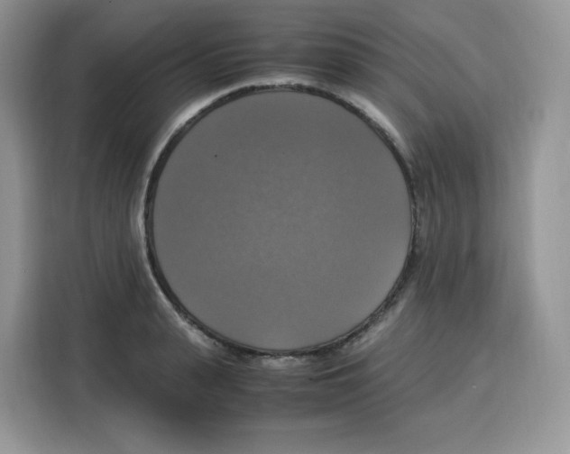 X0000115100943200911241231