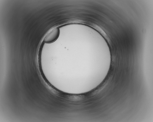 X0000115100947200911241231