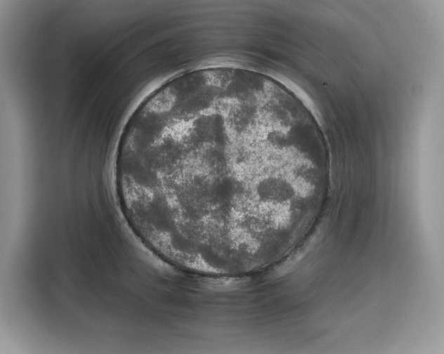 X0000115100949200911241231