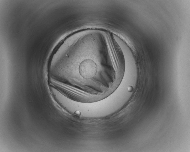 X0000115100950200911241231